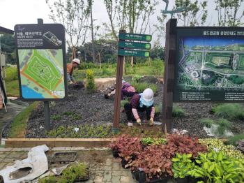 제2자유로 종점부(난지도길) 입체화공사 2023년05월30일 증산로 시점부 우측